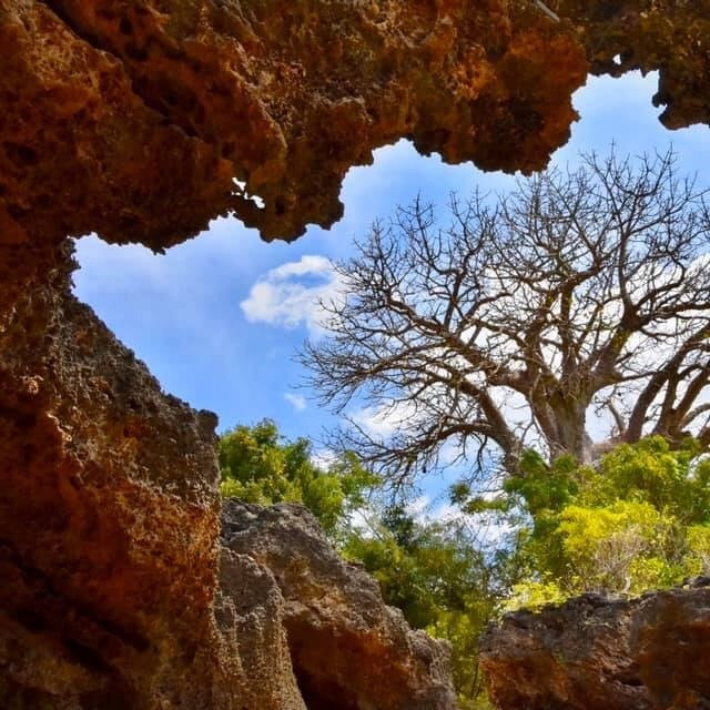 Charlie Claw's-Wasini Island必去景点