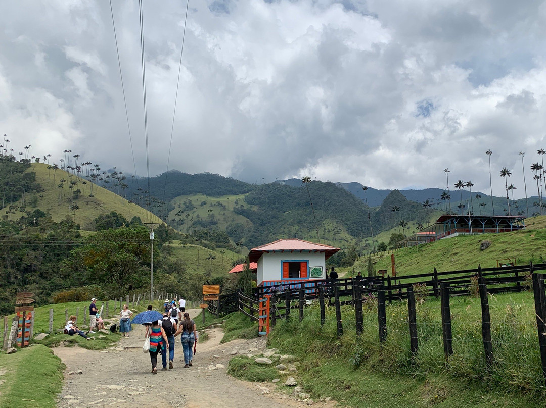 Valle del Cocora景点图片