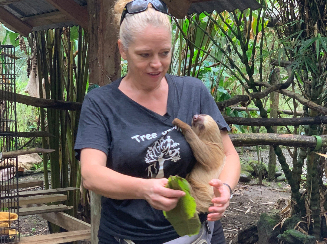 Tree of Life Wildlife Rescue Center and Botanical Gardens-卡维塔必去景点