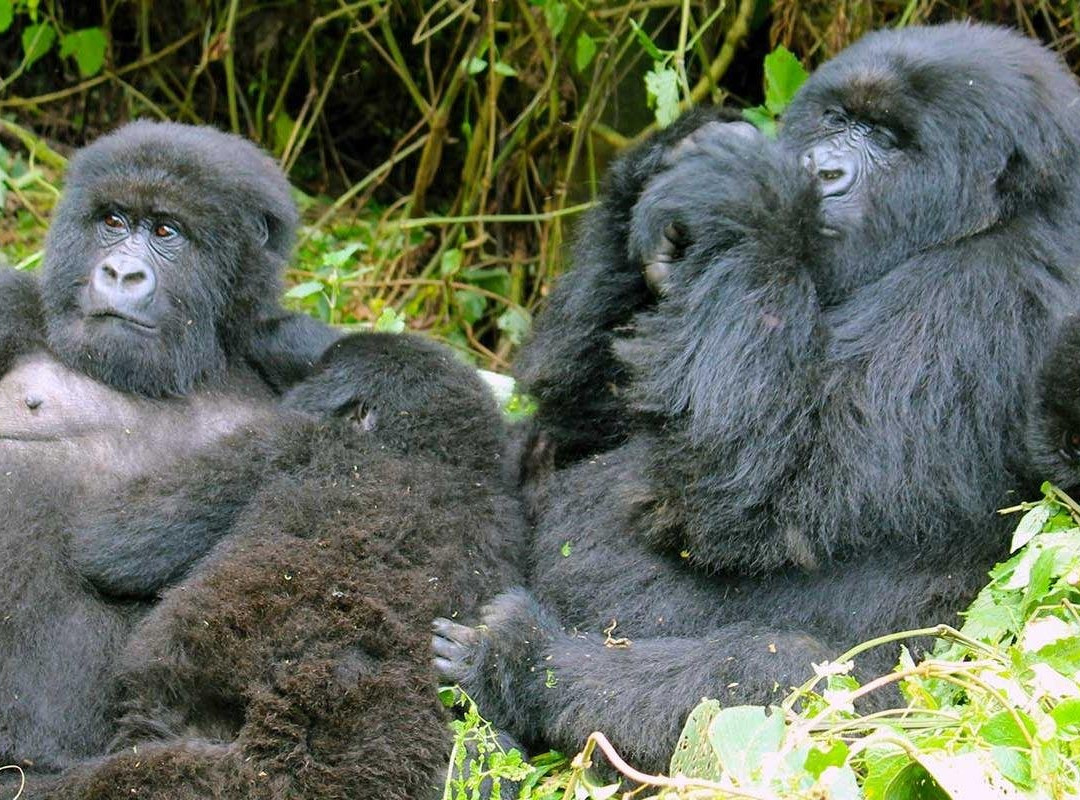 Rwanda Holidays-Kayonza必去景点