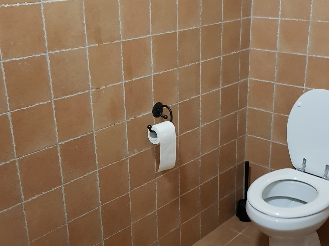 Villa Tuscany Siena主图