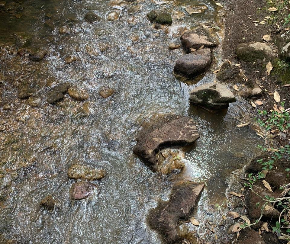 La Rivera Del Ave主图