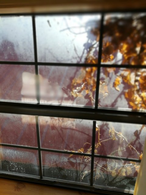 The Hotel Limpia-portrait