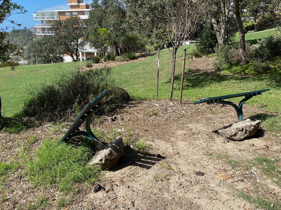 Hunter Sculpture Park Bondi景点图片