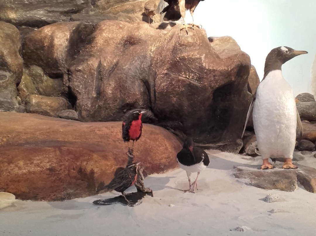 Museum Britannia House-Stanley必去景点