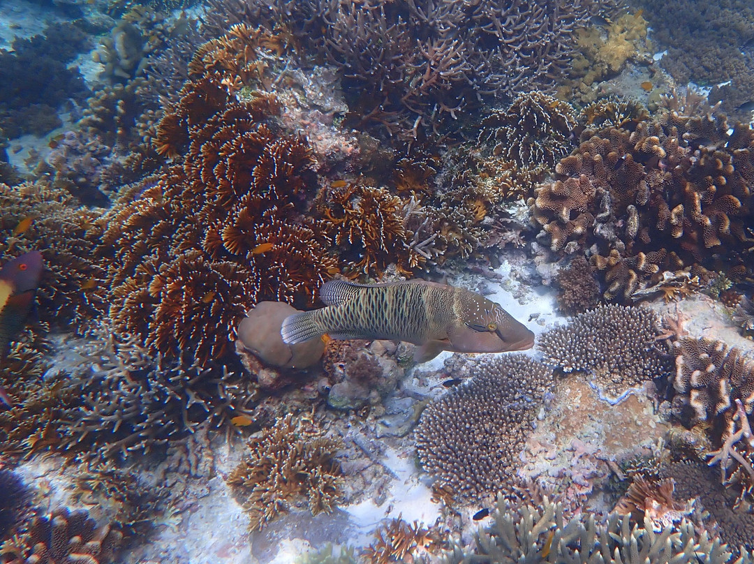 Cape Kri-四王岛必去景点