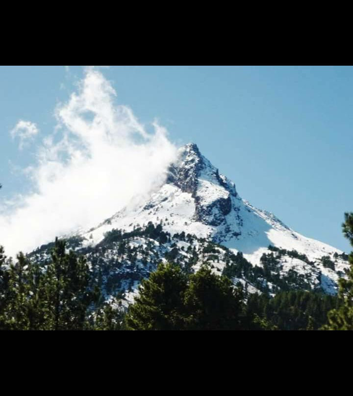 Parque Nacional Nevado de Colima景点图片