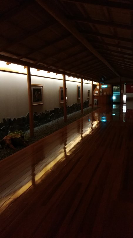 大泽温泉 山水阁-portrait