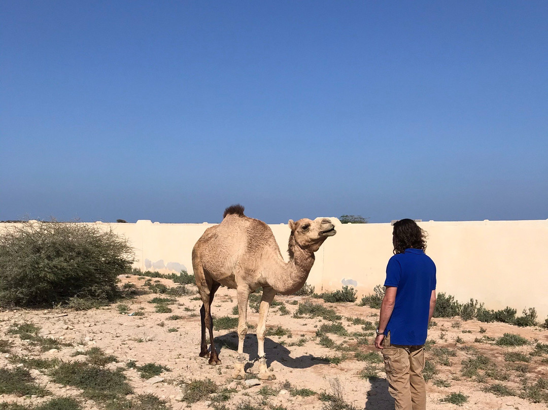 Oryx Adventures Motorcycle Tours-马斯喀特必去景点