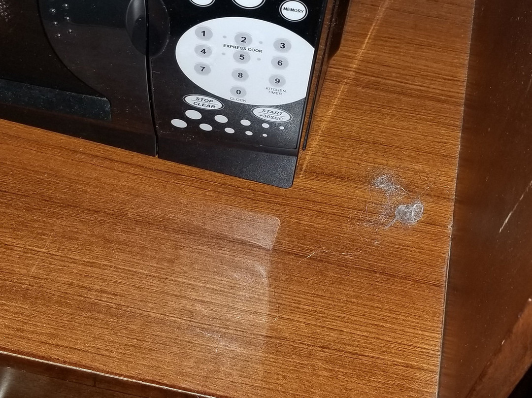 Quality Inn & Suites Ashland Near Kings Dominion主图