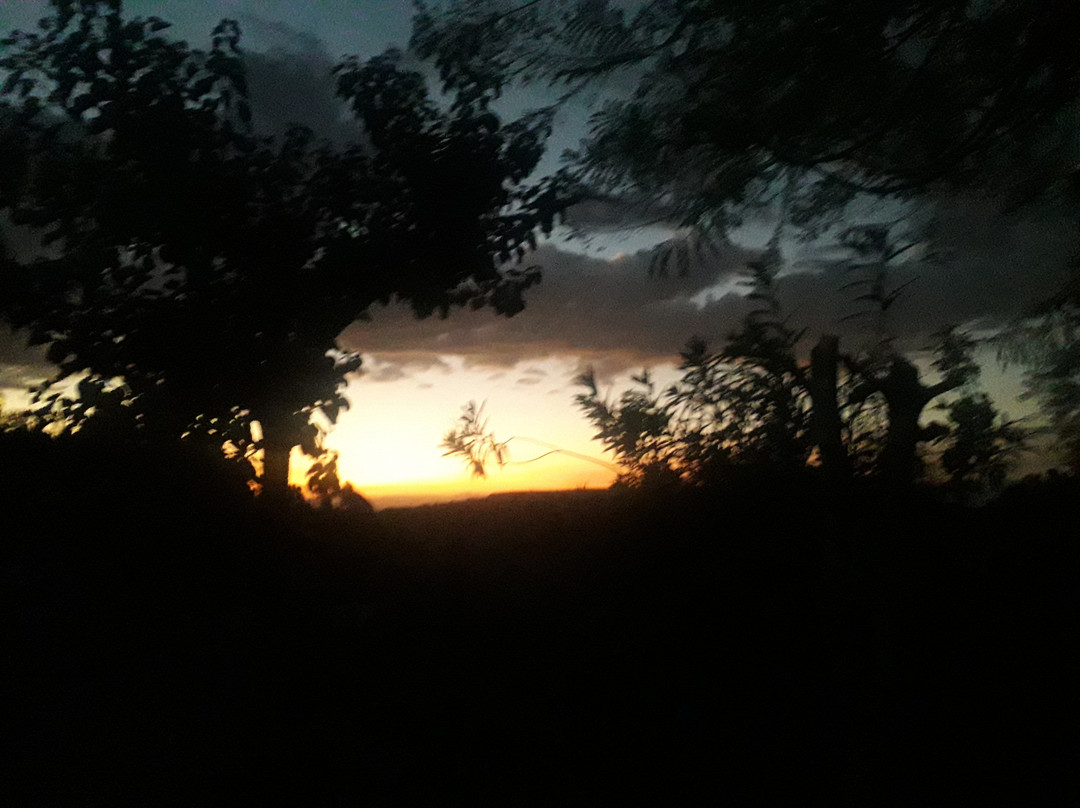 Alef Paradise Hotel主图