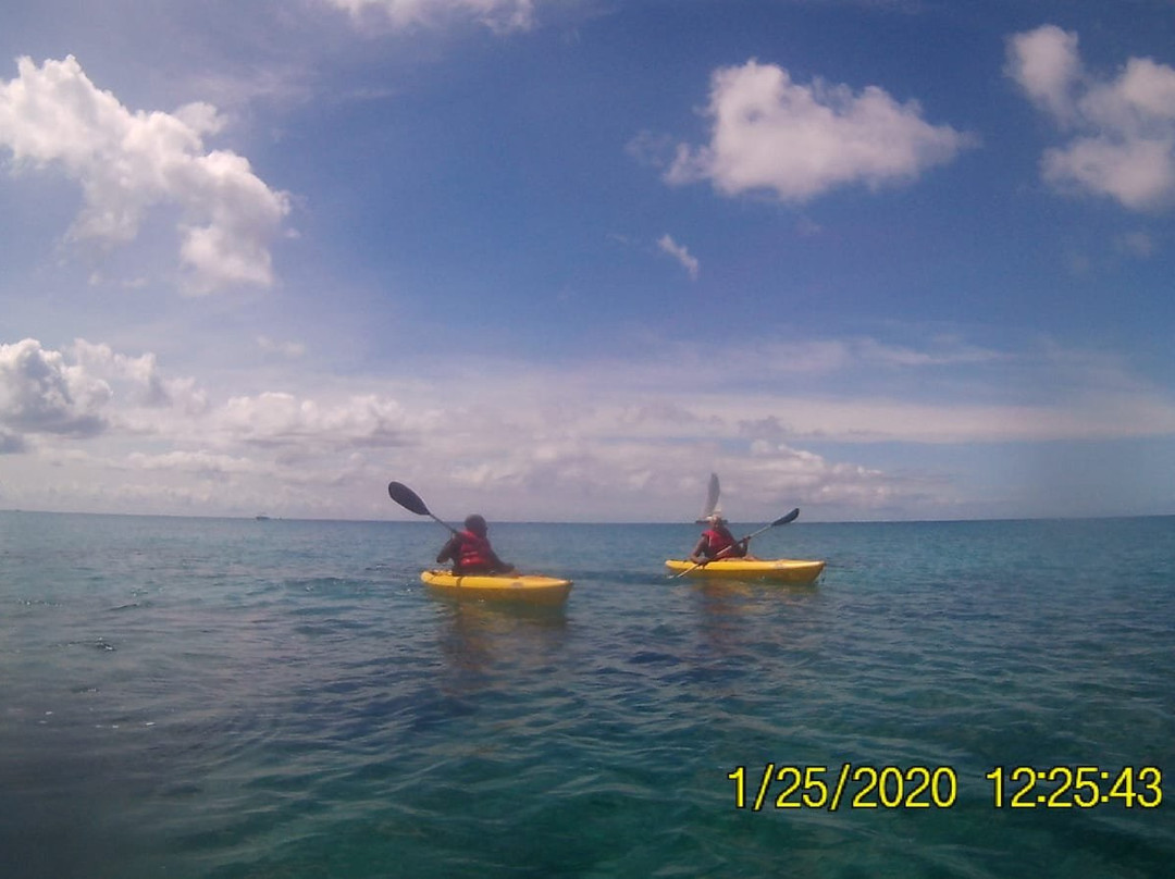 Kayaking Barbados-Saint Lucy Parish必去景点