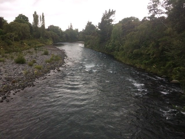 Tongariro River Trail景点图片