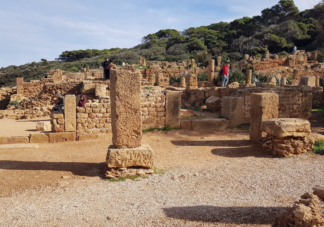 Tipasa Archaeological Park景点图片