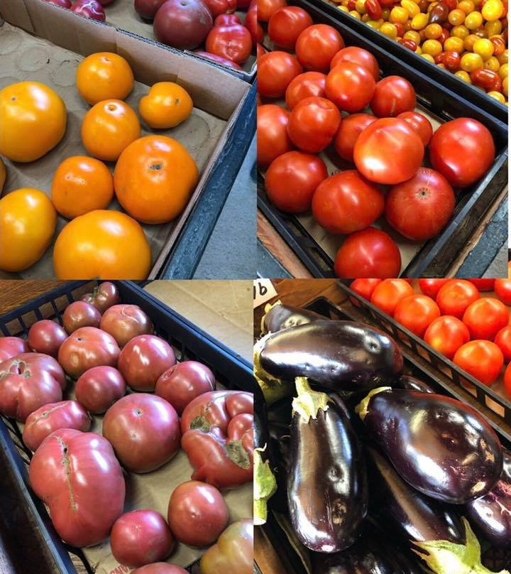 Hallene Farm-Exeter必去景点