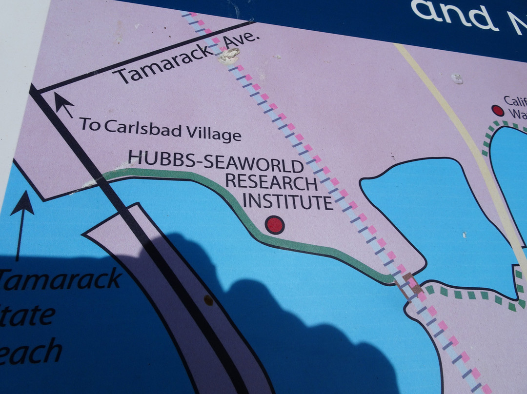 Agua Hedionda Lagoon Discovery Center-卡尔斯巴德必去景点