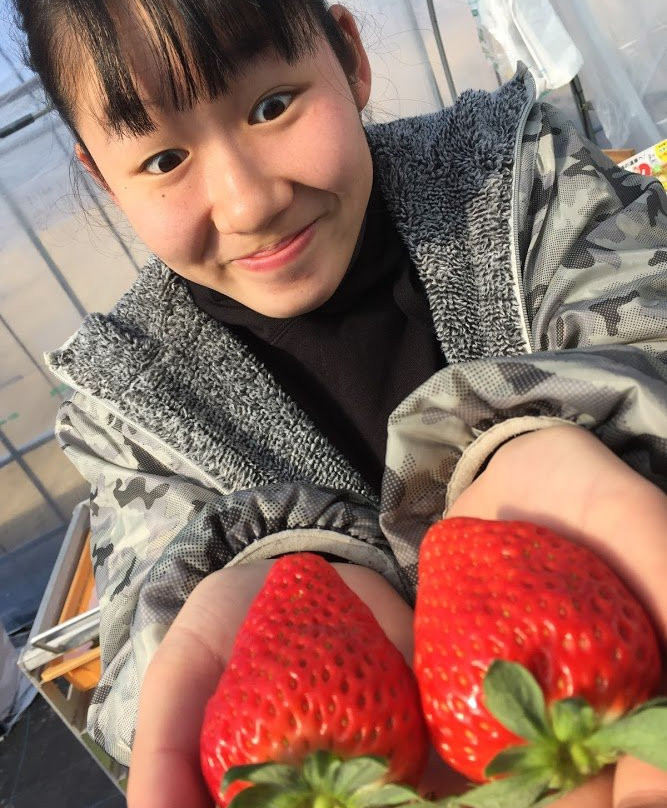 Fruitelier Nakamura Fruit Farm-久留米市必去景点