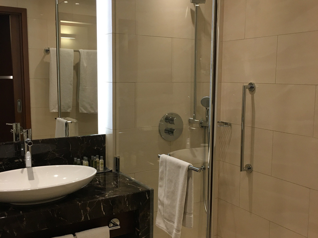 华沙希尔顿逸林酒店及会议中心主图