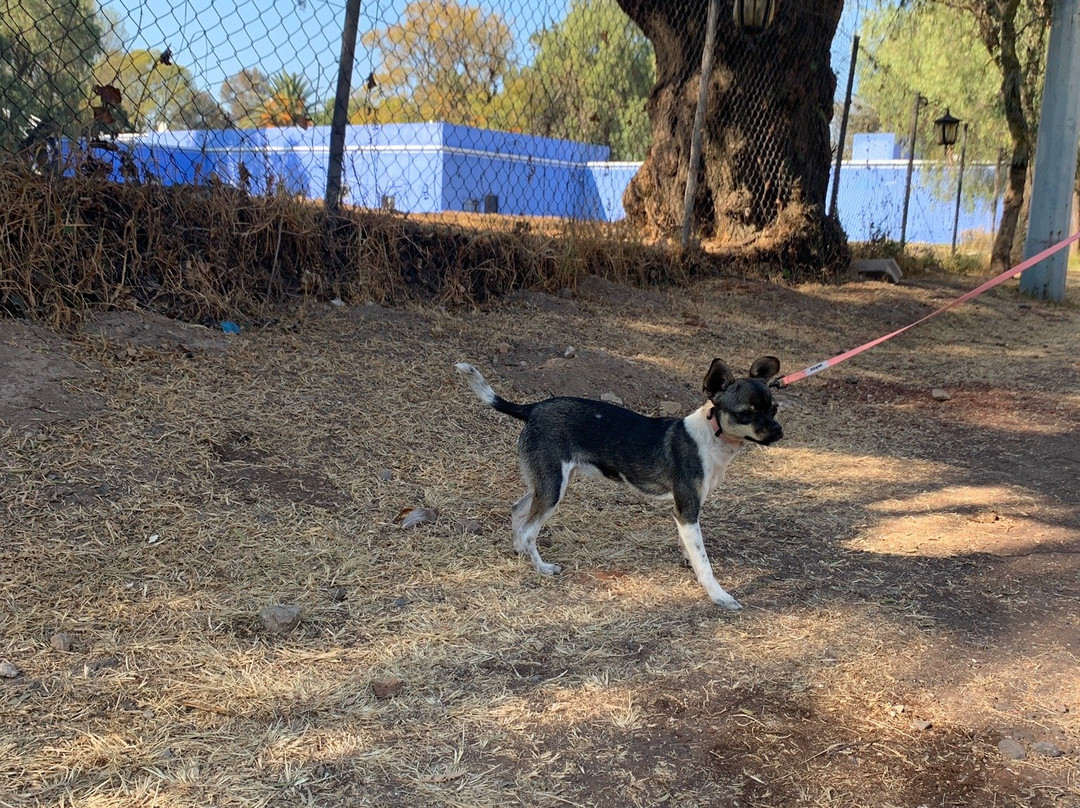 Villas Teotihuacan Hotel & Spa主图