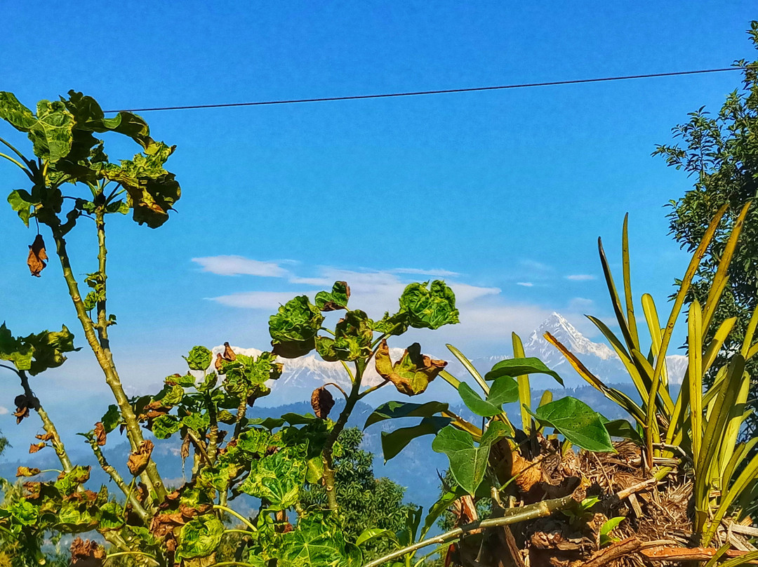 Begnas Yoga & Retreat主图