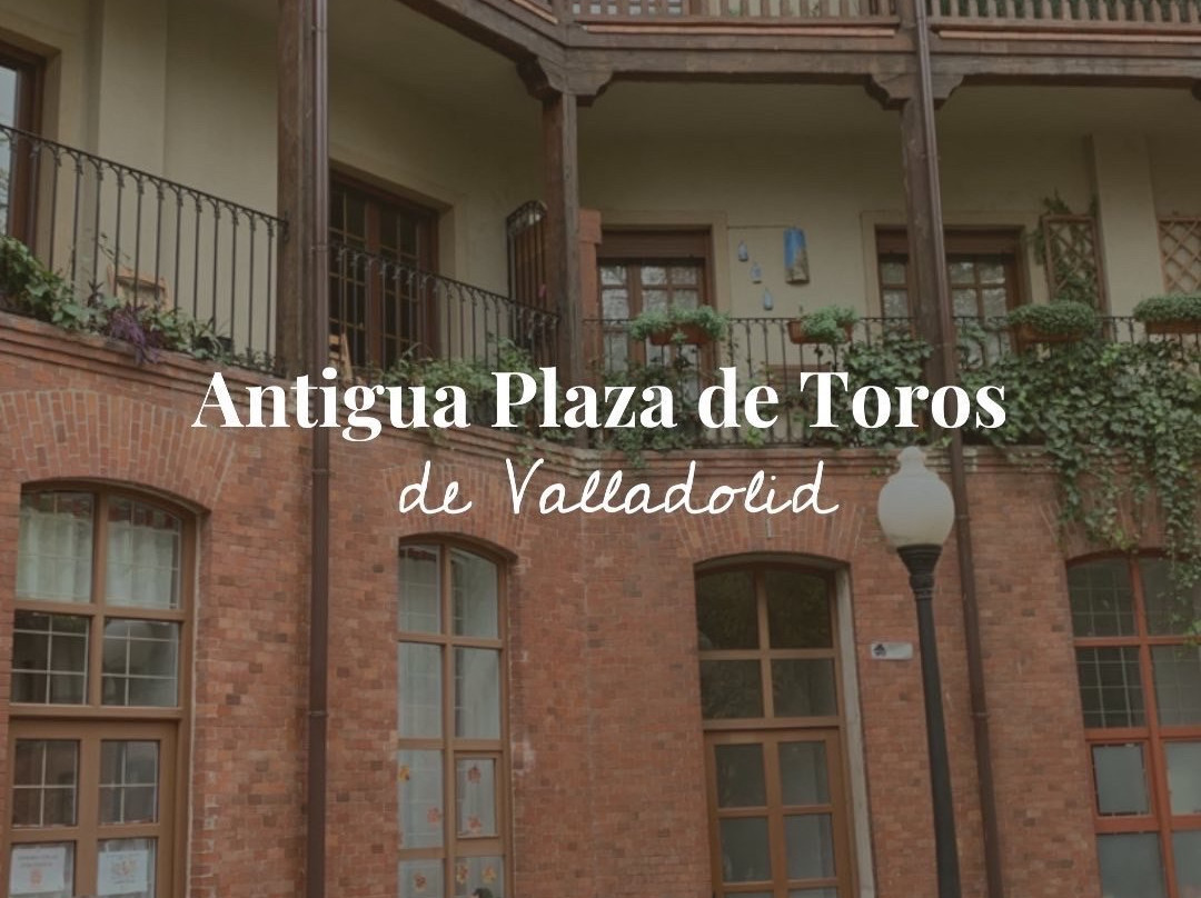 Plaza Viejo Coso景点图片