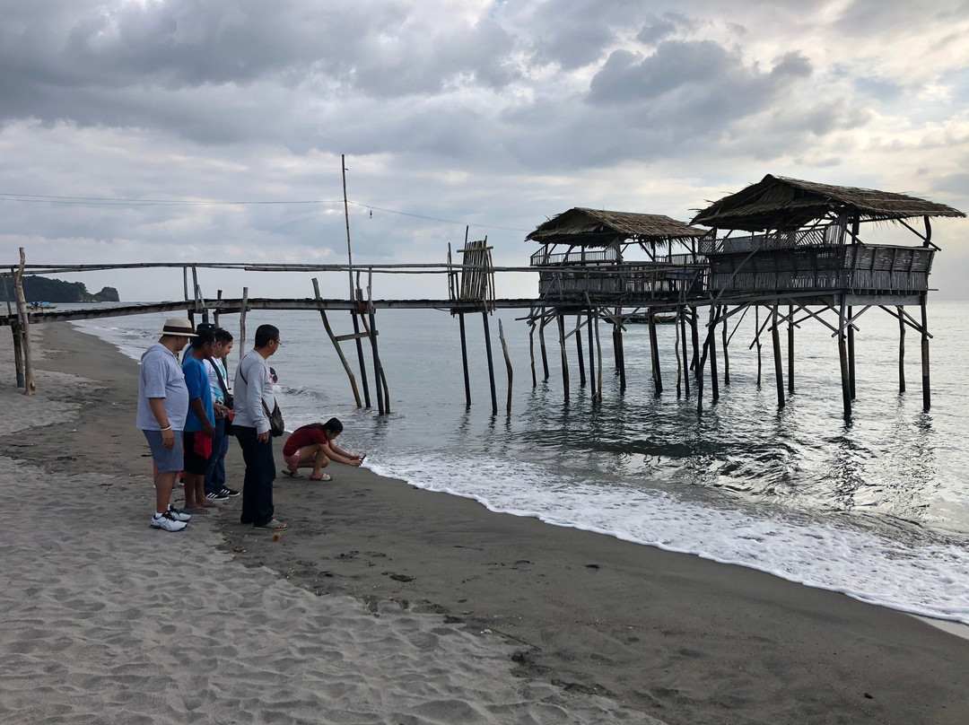 Pawikan Conservation Center-莫龙必去景点