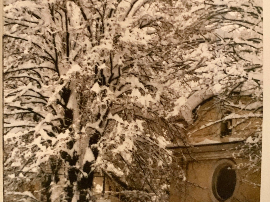 Chiesa di Sant'Antonio da Padova景点图片