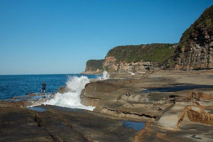 Sydney Guided Tours景点图片