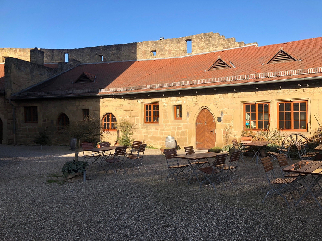 Burg Steinsberg景点图片