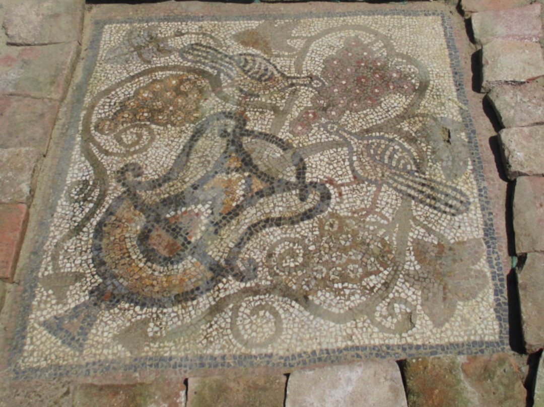 Mosaic Of The Ancient Basilica Of Lin-Lin必去景点