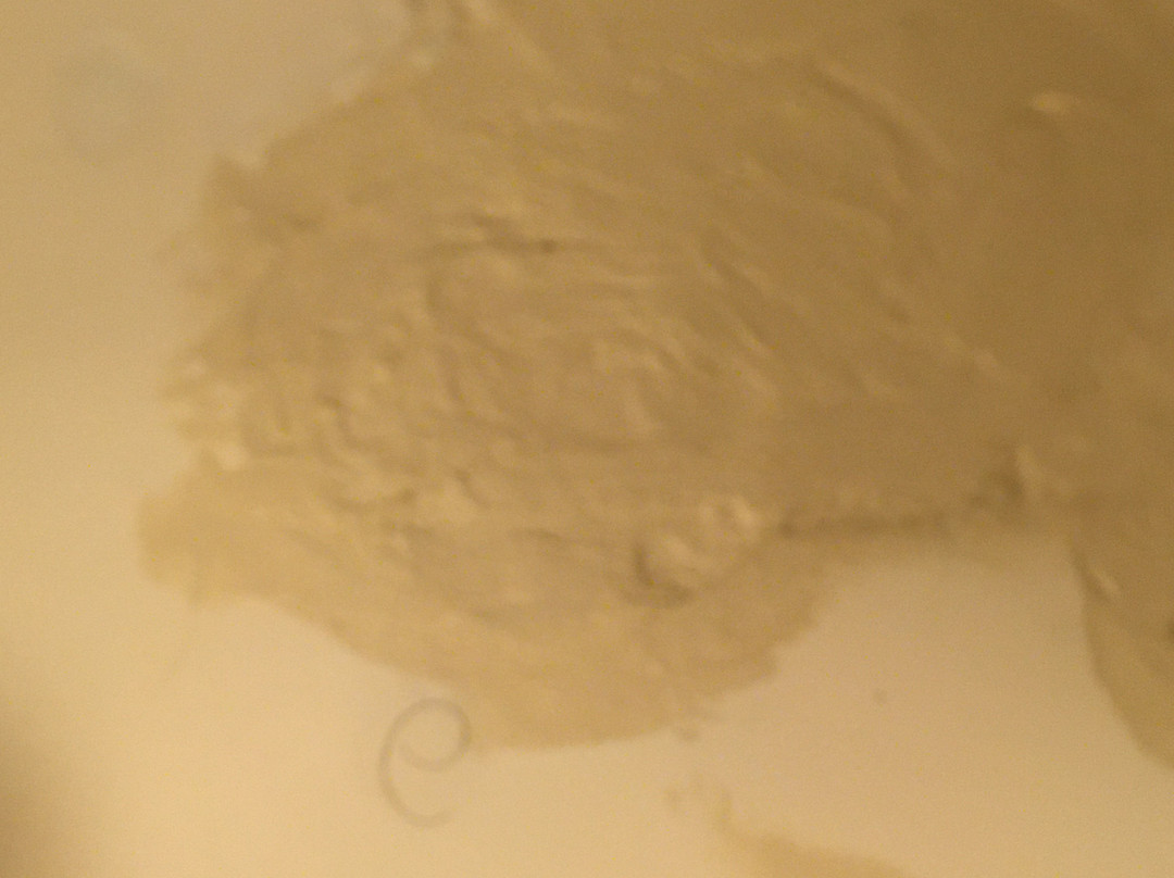 Residence Inn by Marriott Rockford主图