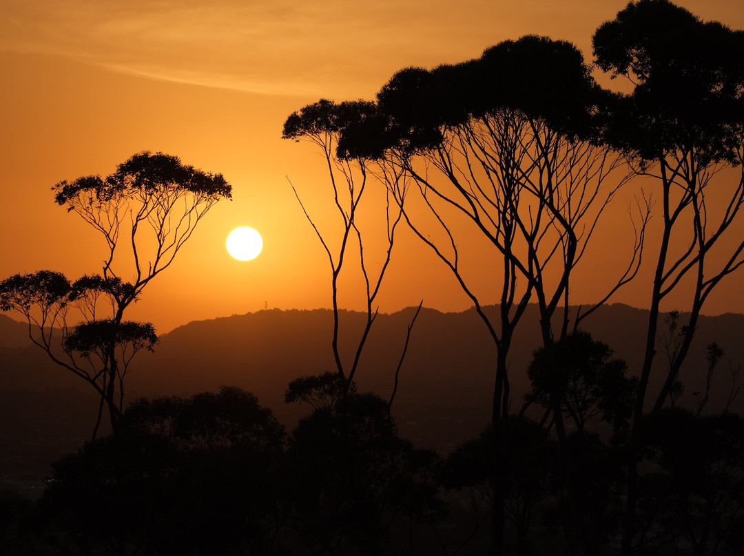 Mount Albert - Owairaka Domain-奥克兰必去景点