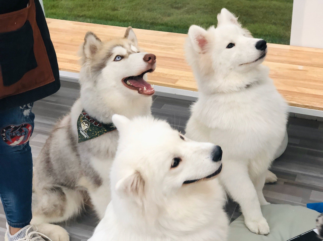 Bla Bla Boo-挽巴茵必去景点