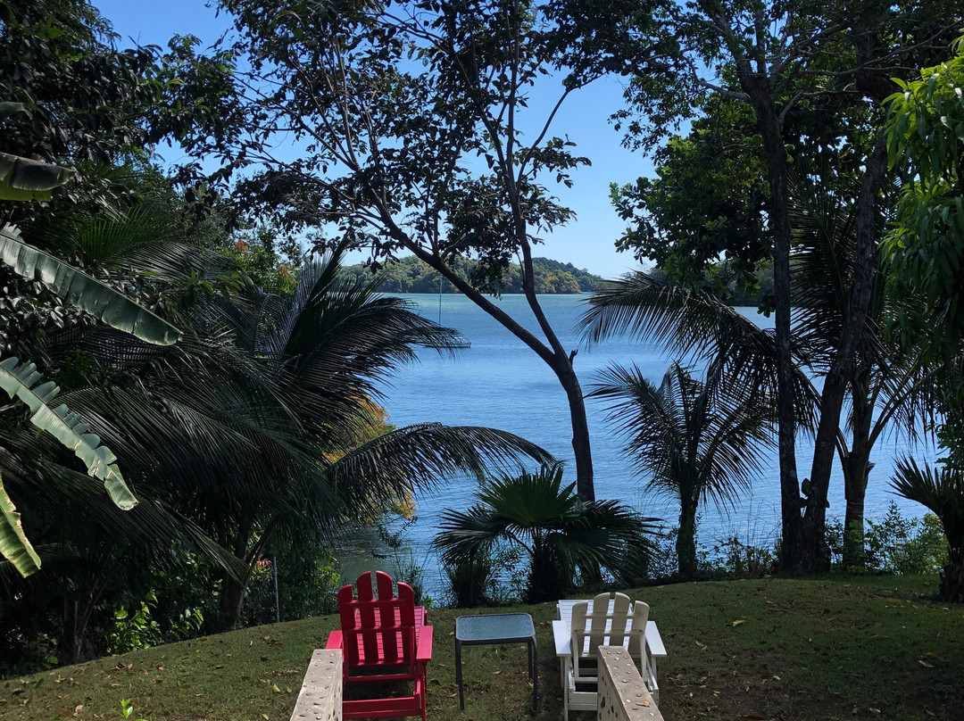 Hotel Bocas Del Mar主图