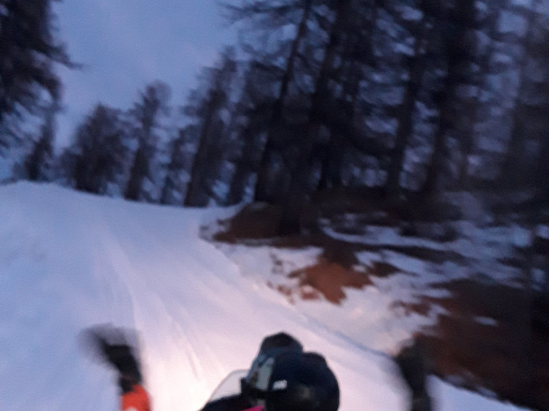 Tana Della Volpe主图