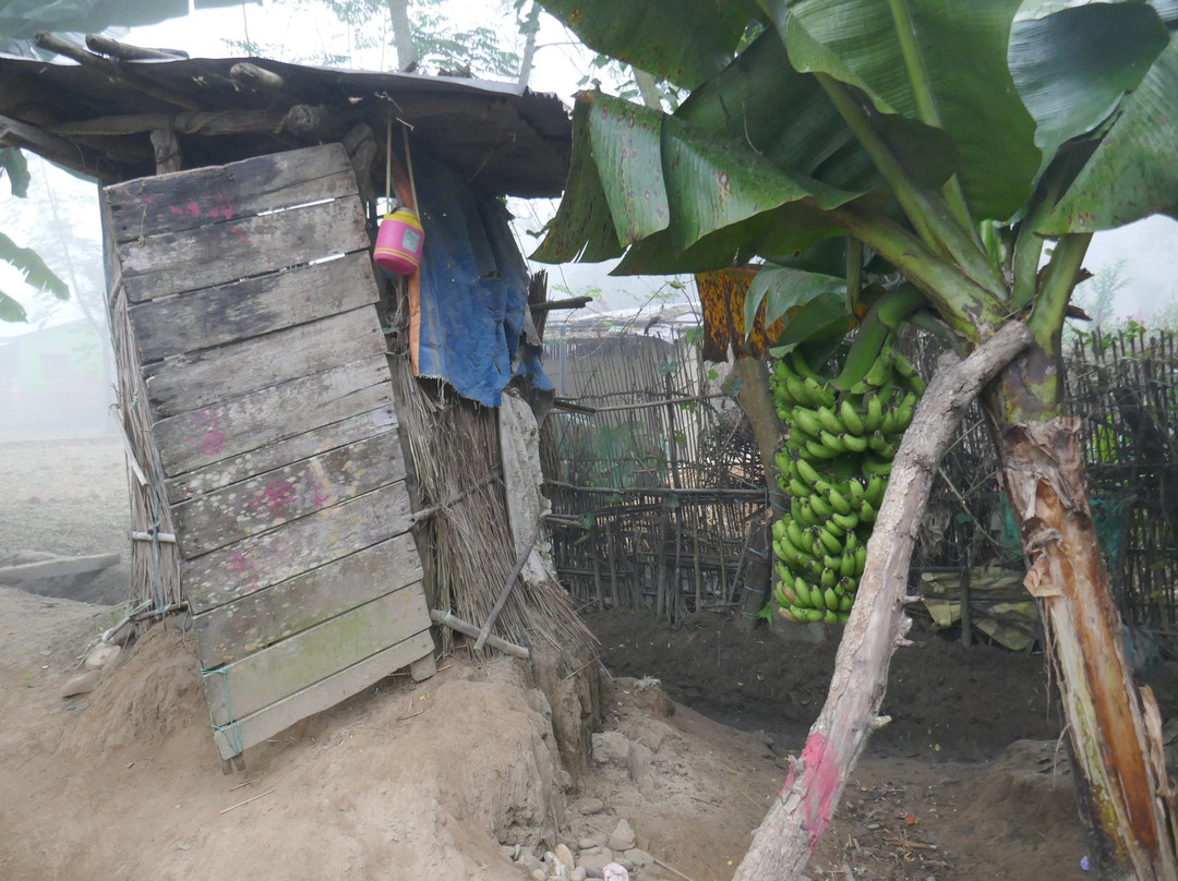 Chitwan Tharu Village-苏拉哈必去景点