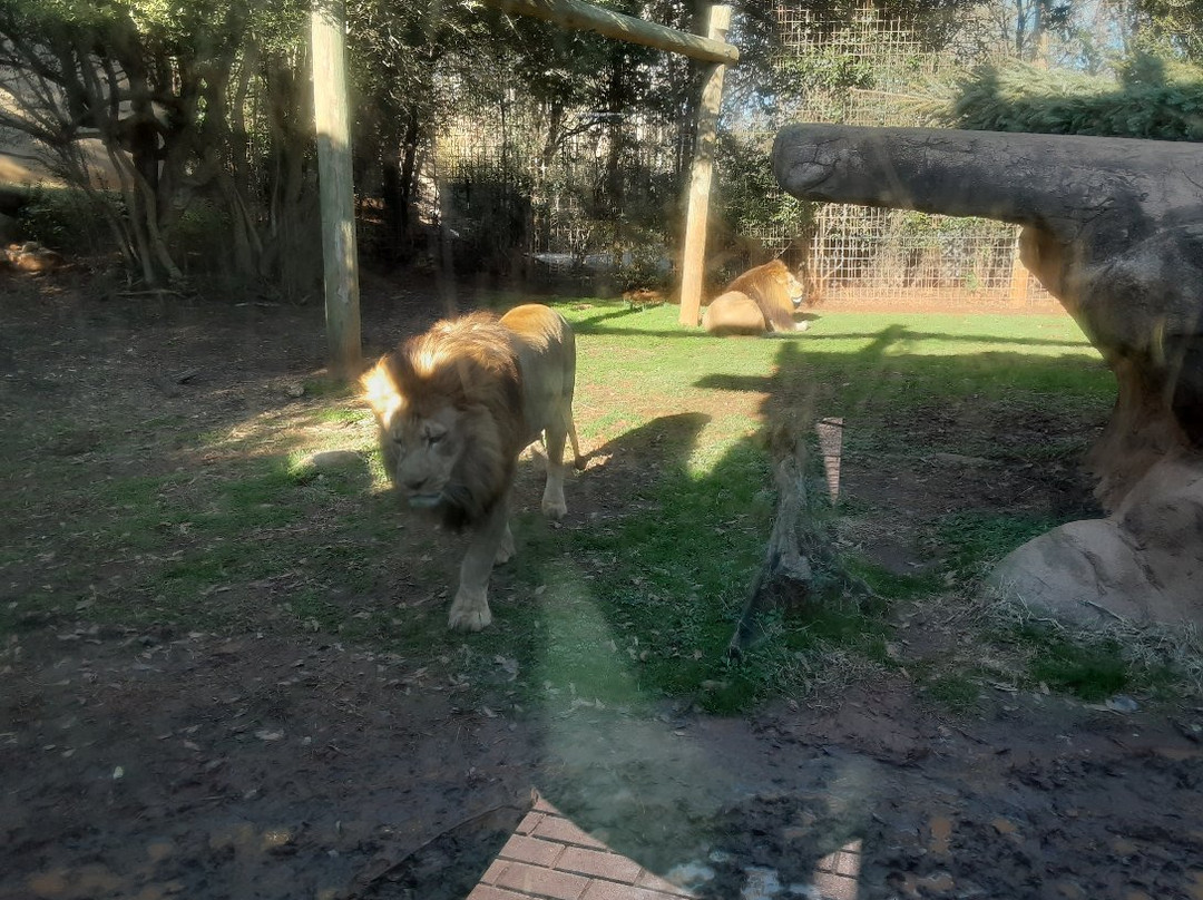 Greenville Zoo景点图片