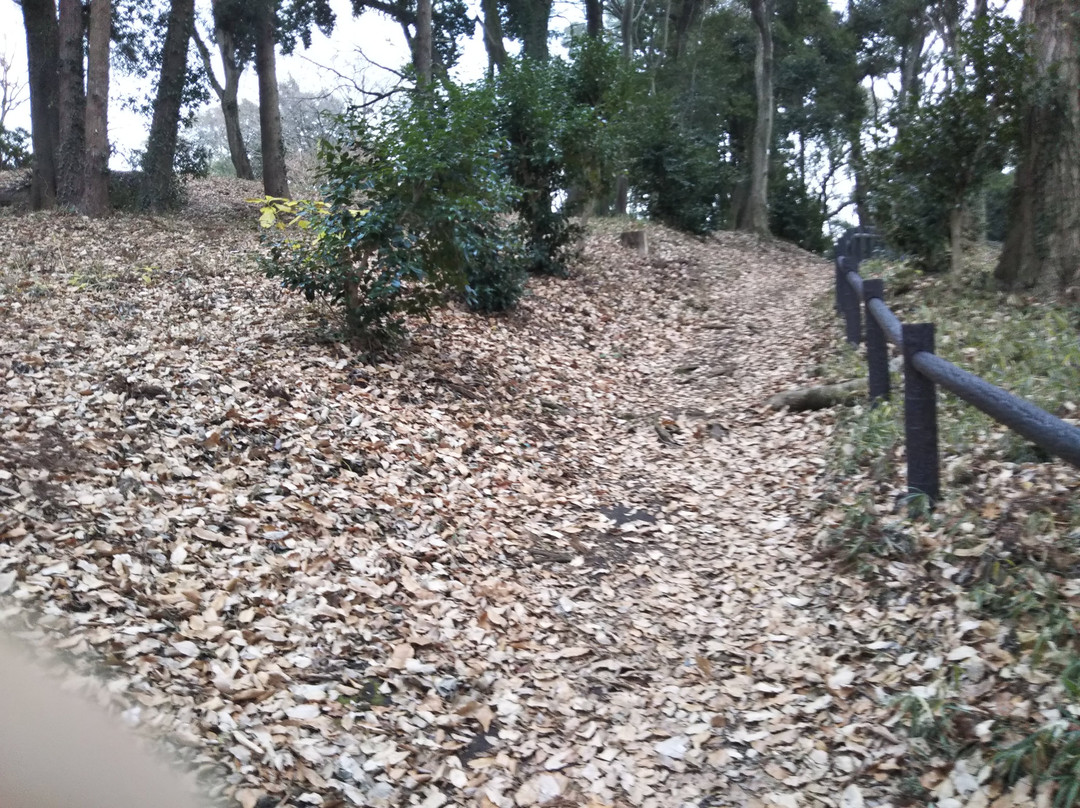 富士山公园-座间市必去景点