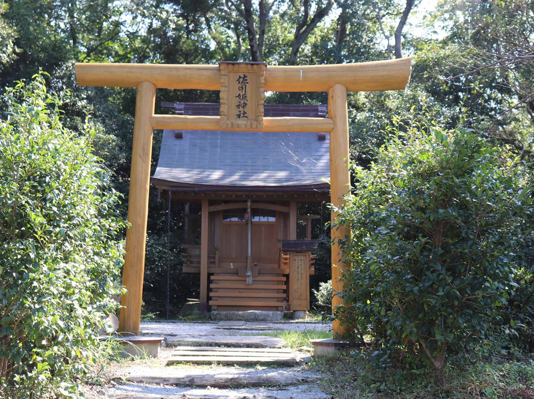 Sayohime Shrine-唐津市必去景点