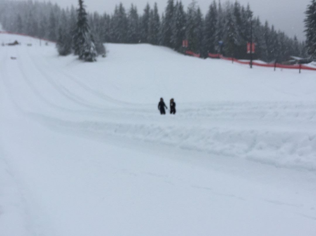 Bubly Tube Park-惠斯勒必去景点