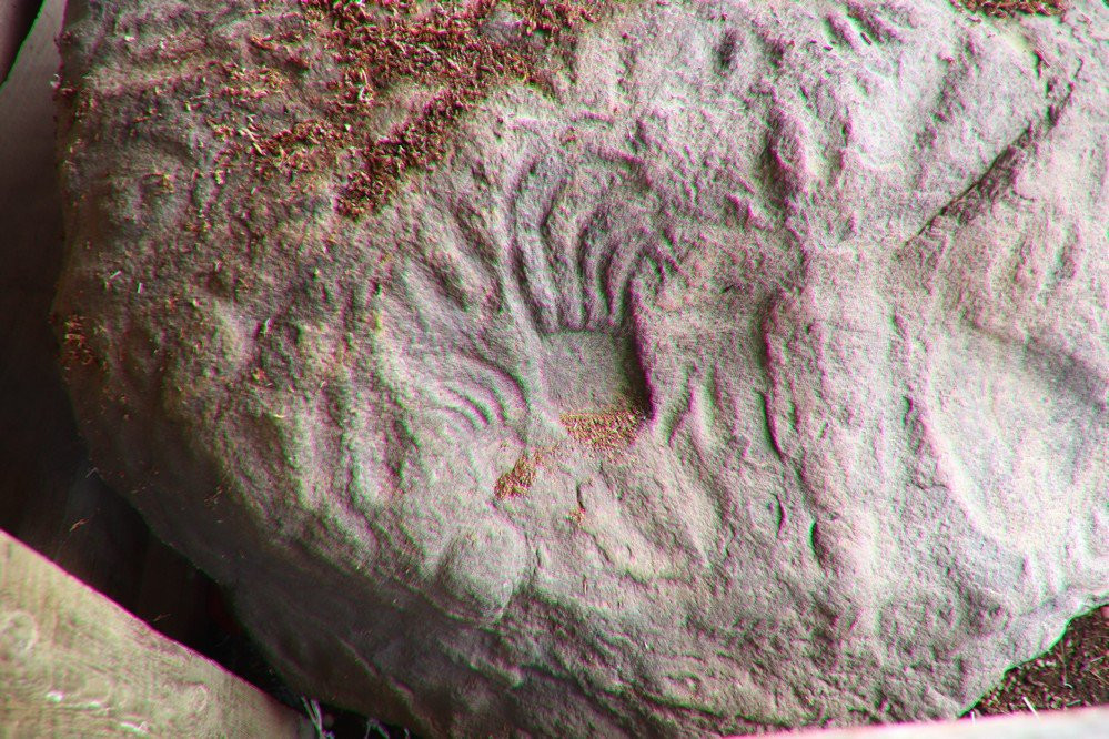 Sleeping Buffalo Rock-Saco必去景点