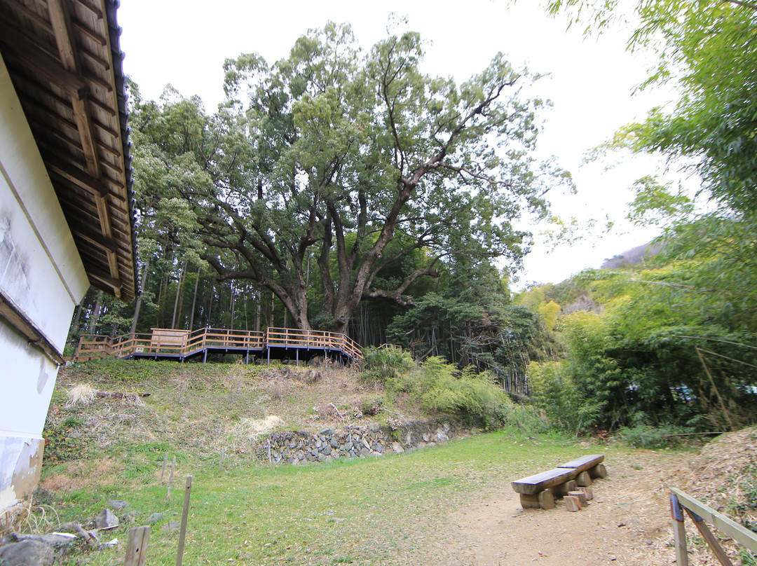 Kamiyatsuno Okusuu-越生町必去景点
