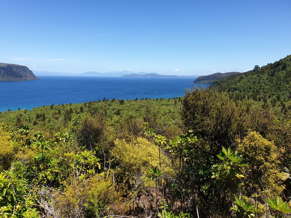 Great Lake Trail景点图片