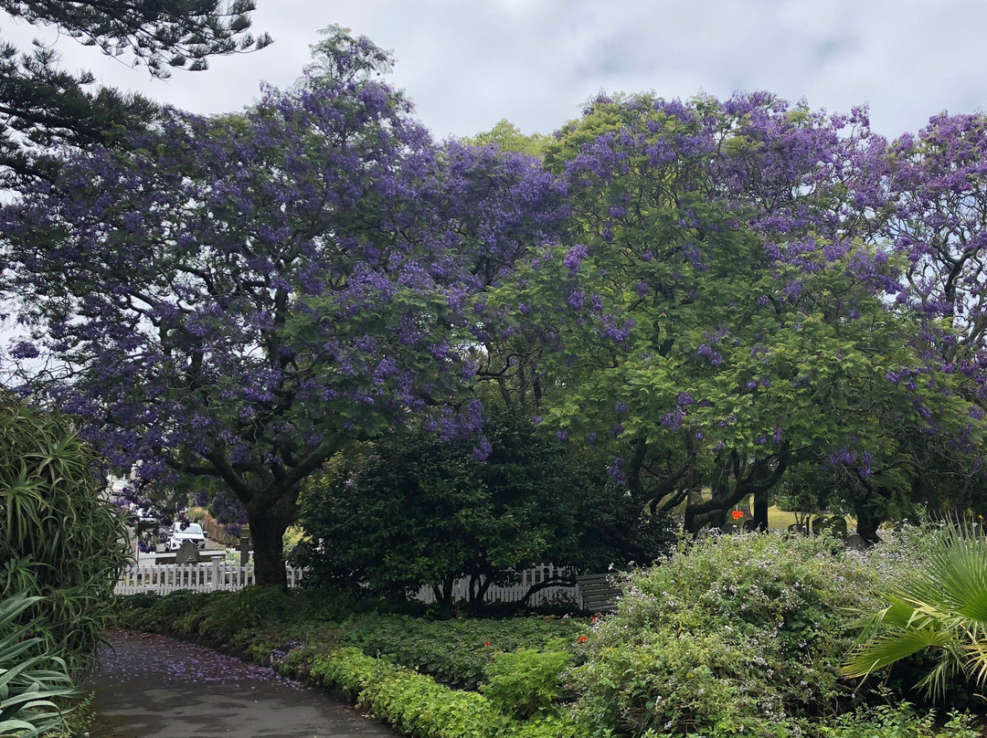 Botanical Gardens-纳皮尔必去景点