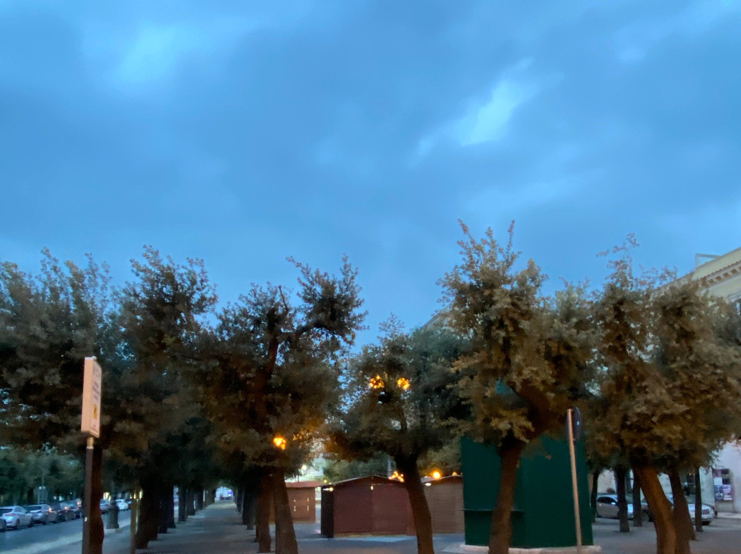 La Piazza della Repubblica景点图片