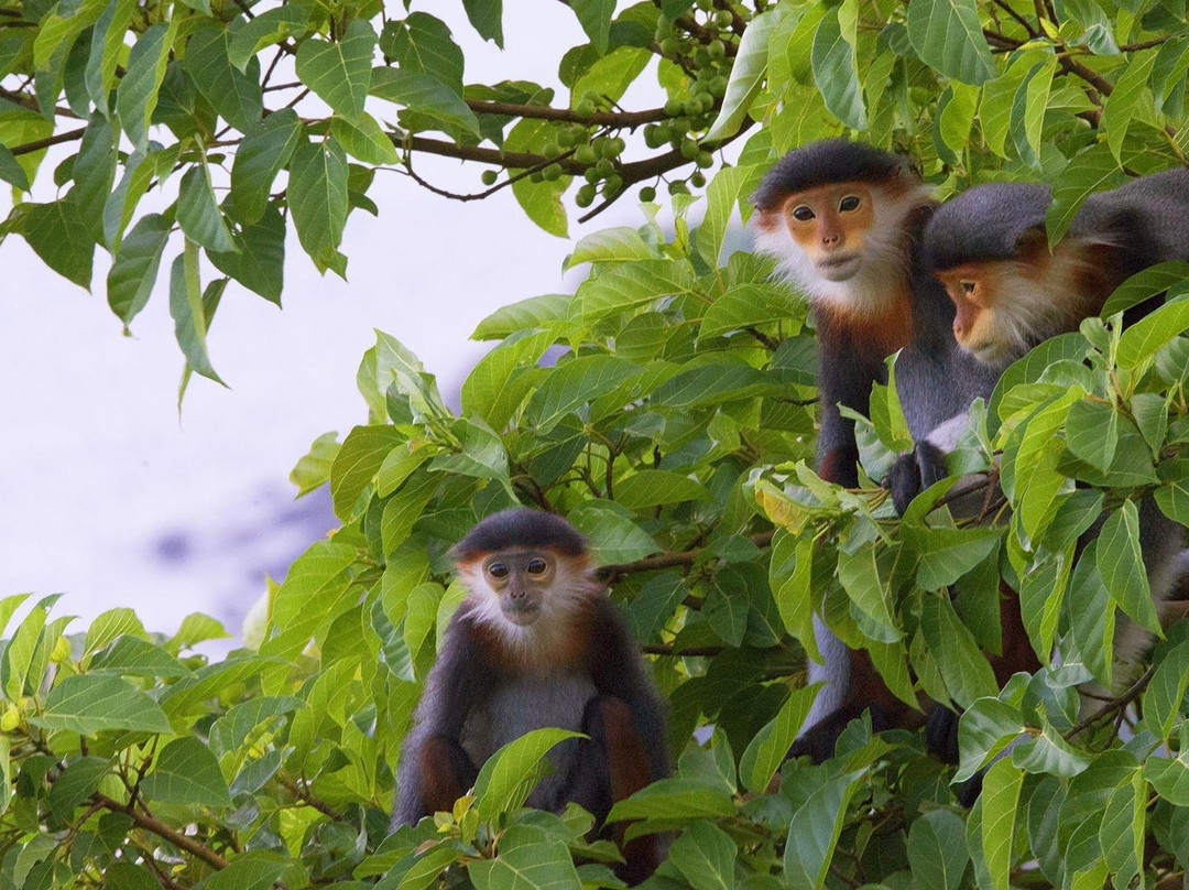 Jeep Adventure Viet Nam-会安必去景点