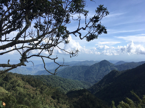 Mount Stanley-温佐里山国家公园必去景点