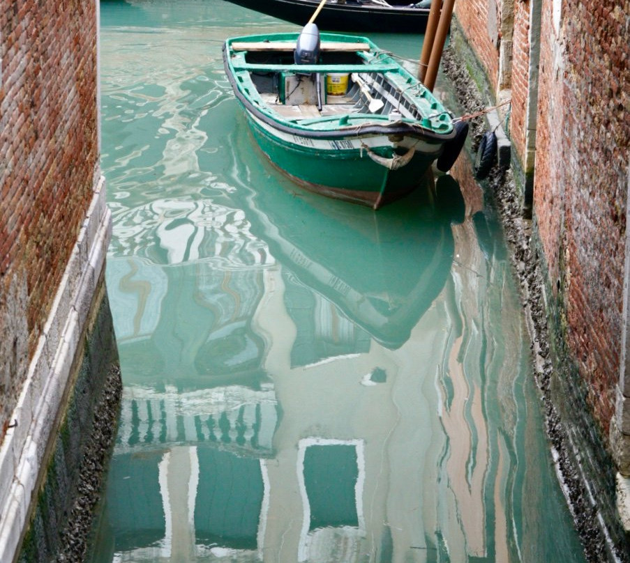 Better Photo Walks in Venice景点图片
