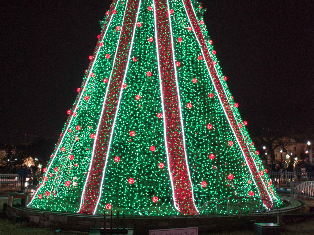 National Christmas Tree景点图片