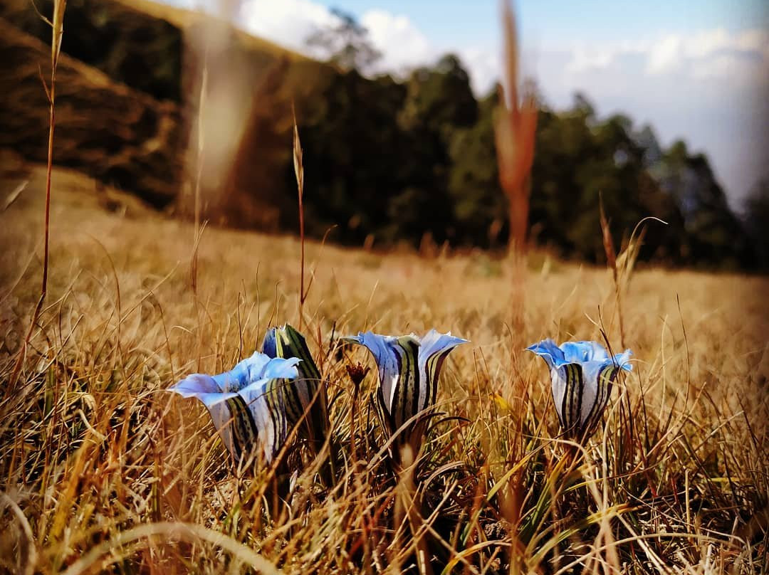 Dolakha Bhimsen Mandir-Charikot必去景点